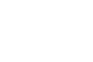 Máster en Ecografía y Fisioterapia Invasiva
